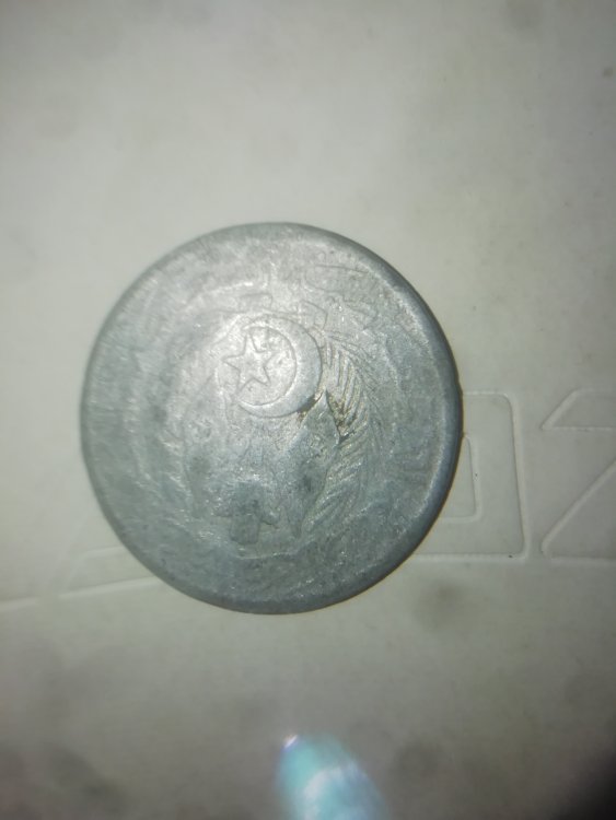 Immagine WhatsApp 2023-07-06 ore 13.20.44.jpg