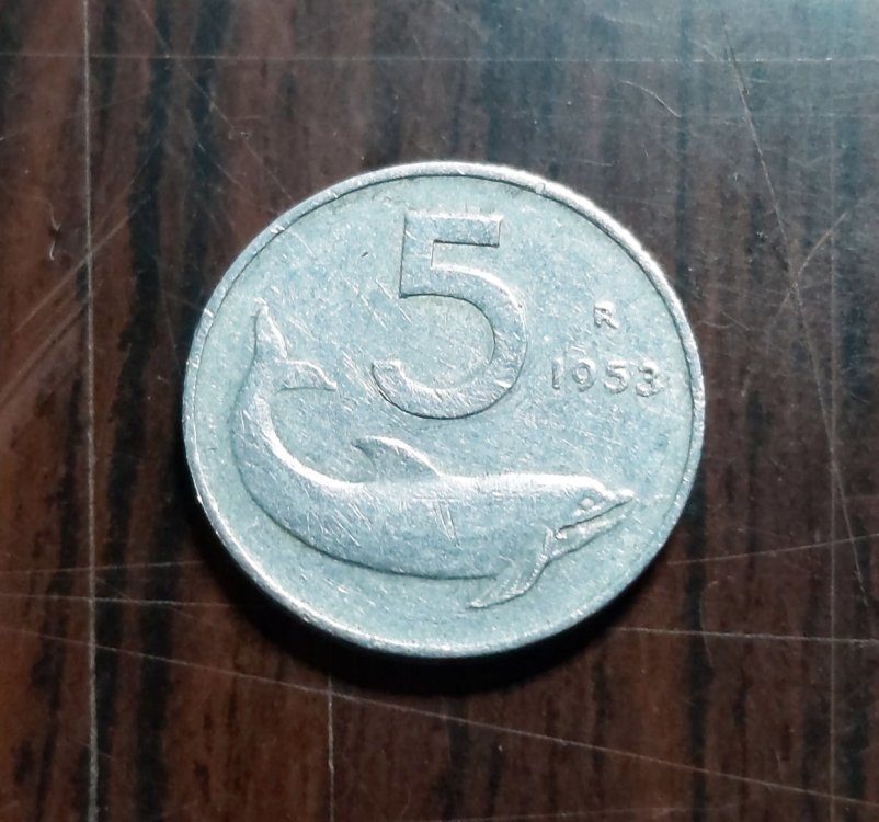 20230710_170204  2.jpg