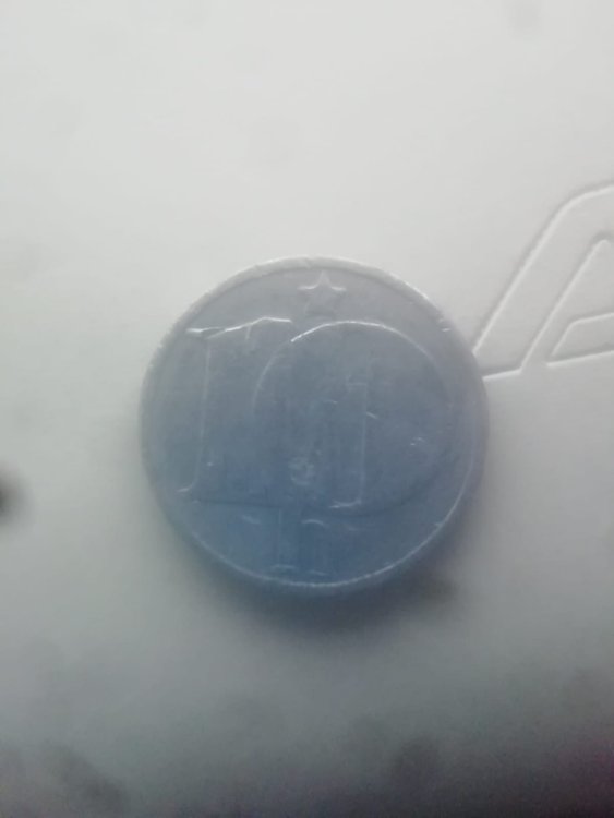 Immagine WhatsApp 2023-07-06 ore 17.27.16.jpg