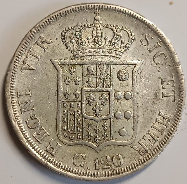 WhatsApp Image 2023-07-06 at 11.03.07.jpeg