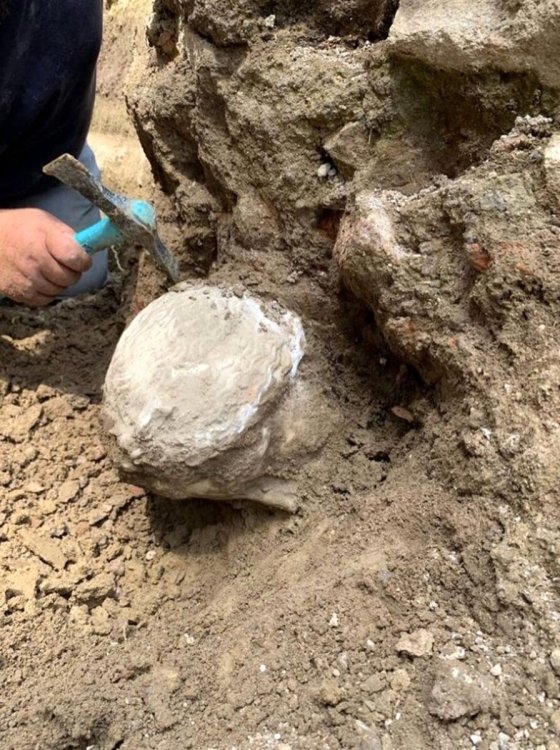 Testa di marmo affiorante dal terreno.jpg