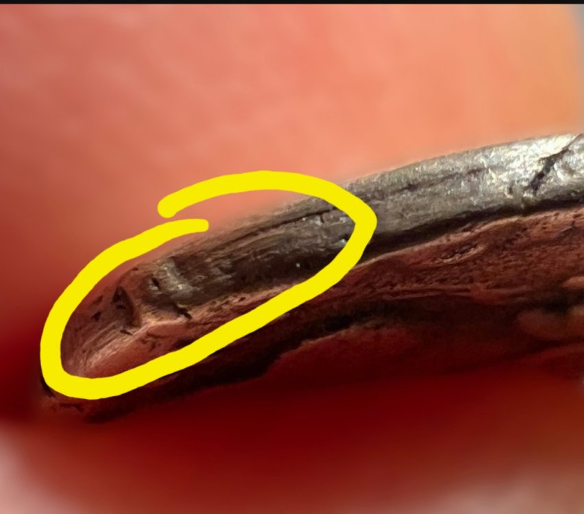 Screenshot_20230711_061003_Samsung Internet.jpg