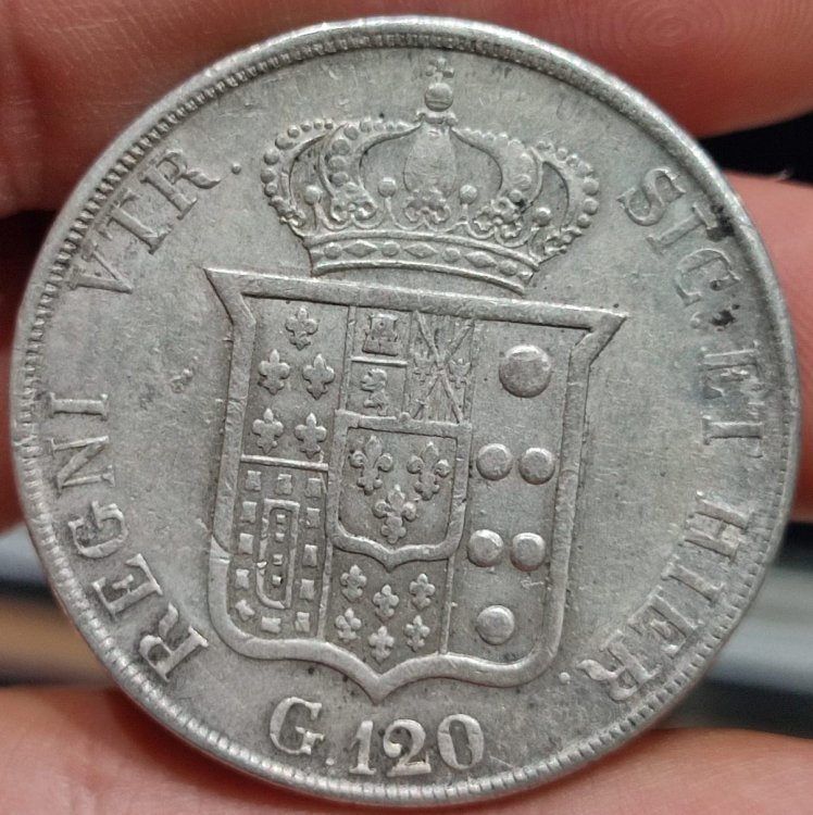 WhatsApp Image 2023-06-13 at 11.53.44.jpeg