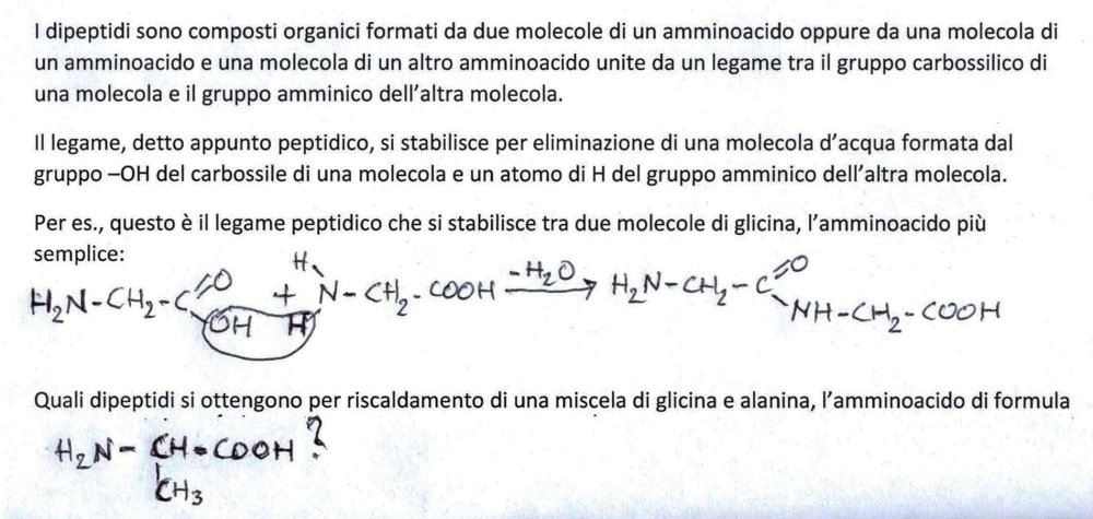 dipeptidi.thumb.jpg.5de24593d27225c2b516ce5aa3b22479.jpg