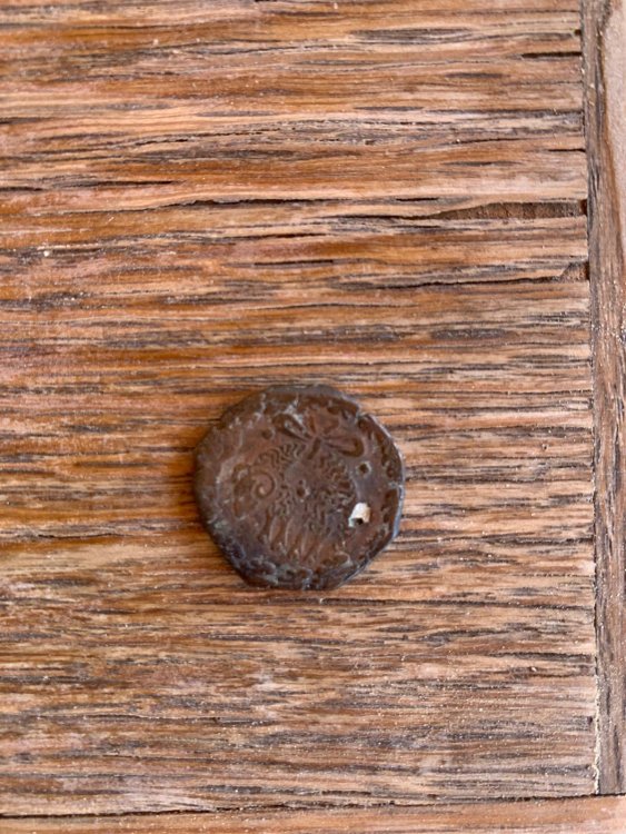 WhatsApp Image 2023-08-09 at 16.09.21 (1).jpeg