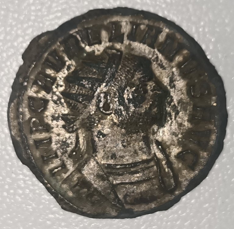 IMG20230824162350 1.jpg