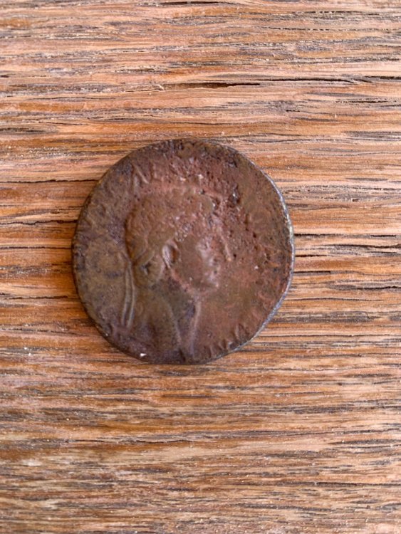 WhatsApp Image 2023-08-09 at 16.09.19.jpeg