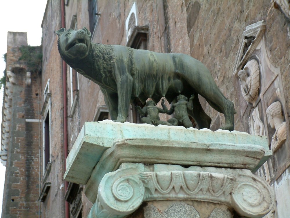 lupa.jpg