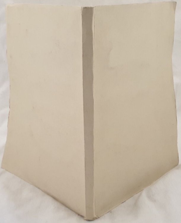 Salvatore Fusco-Ducato 1.jpg