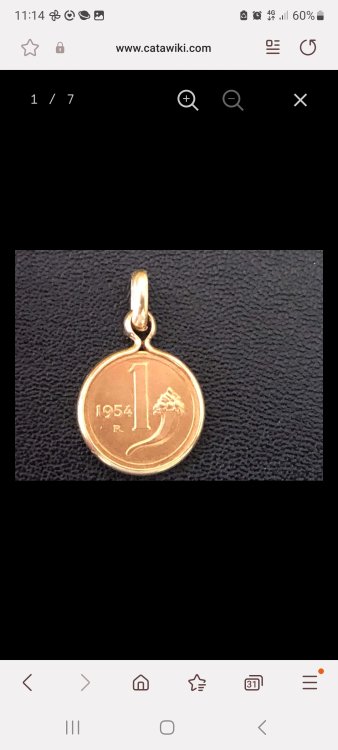 Screenshot_20230918_111459_Samsung Internet.jpg