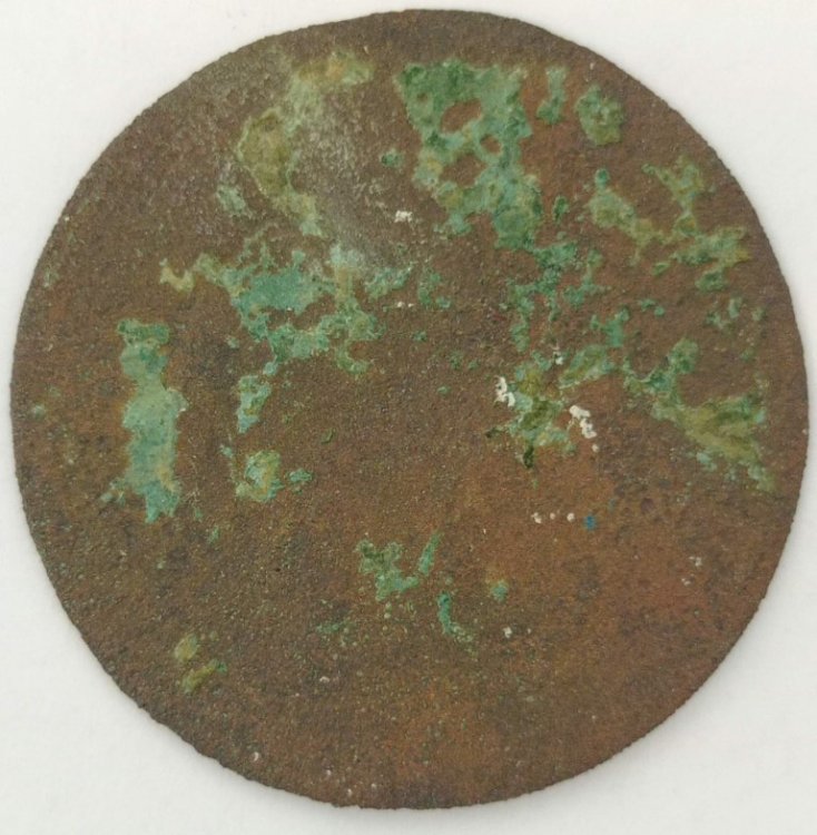 IMG_20230923_125200 (Medium).jpg