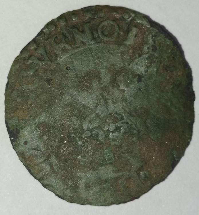 IMG_20230920_095629 (Medium).jpg