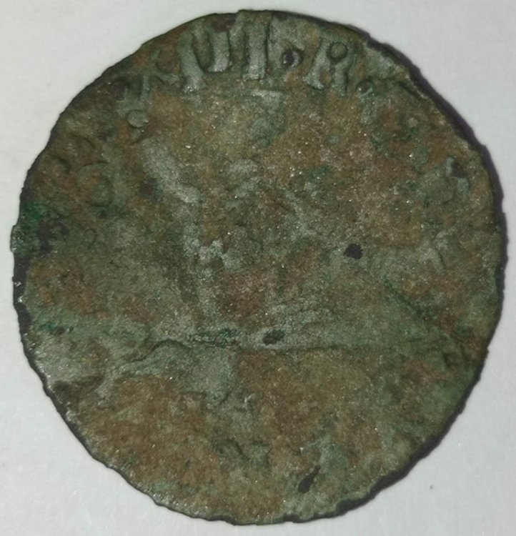 IMG_20230920_095636 (Medium).jpg