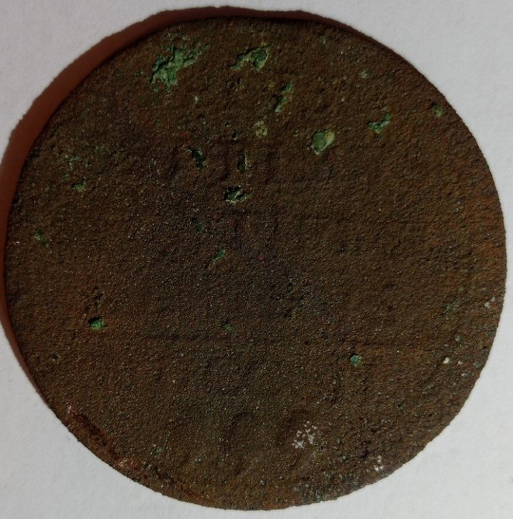 IMG_20230923_123428 (Medium).jpg