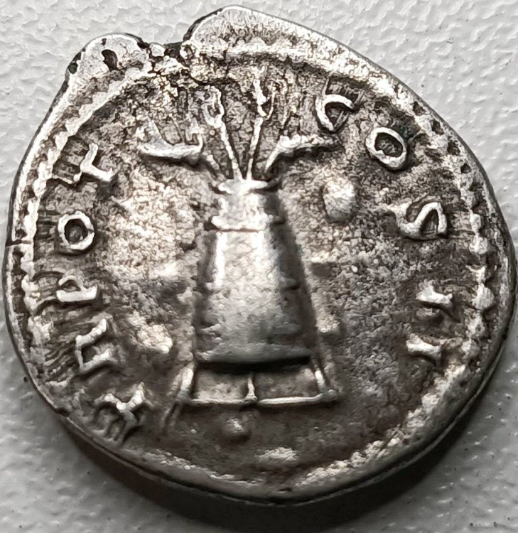 Screenshot_20231005_175809_Samsung Internet-01.jpeg