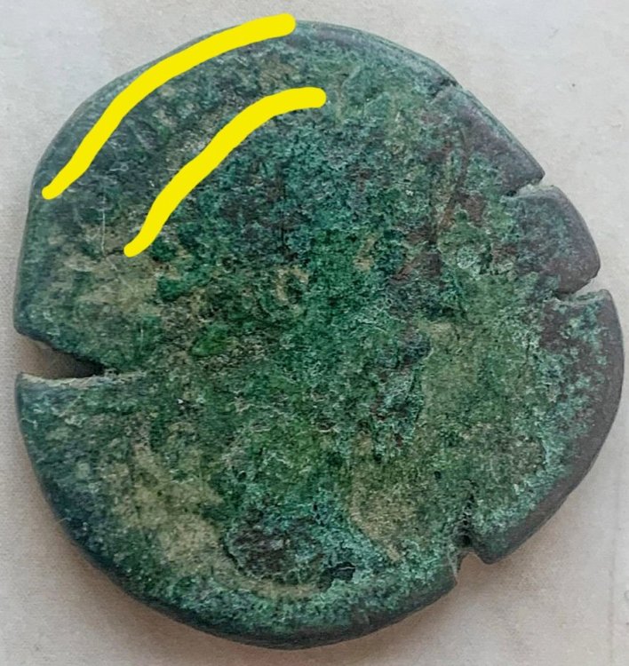 Screenshot_20231017_110535_Samsung Internet-01.jpeg