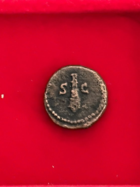 WhatsApp Image 2023-10-09 at 12.39.13.jpeg