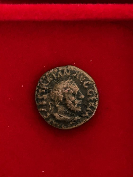 WhatsApp Image 2023-10-09 at 12.39.24.jpeg