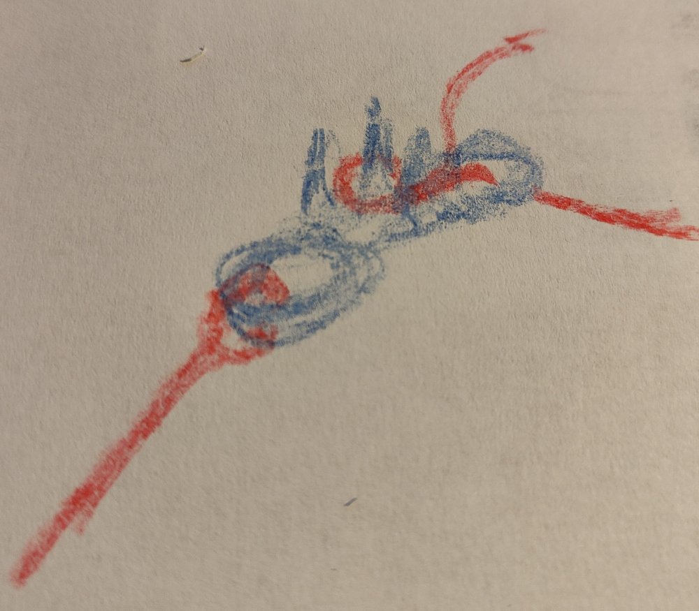 cavezza.thumb.jpg.743ada3078c5e663dba8ff099249c143.jpg