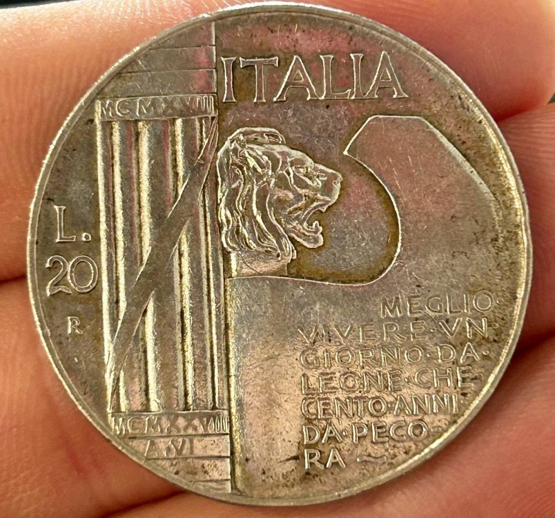 photo1698079559 (1).jpeg