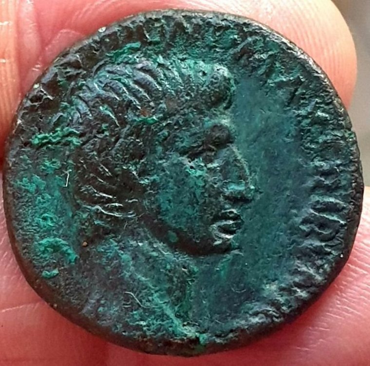 salvius otho dir.jpg