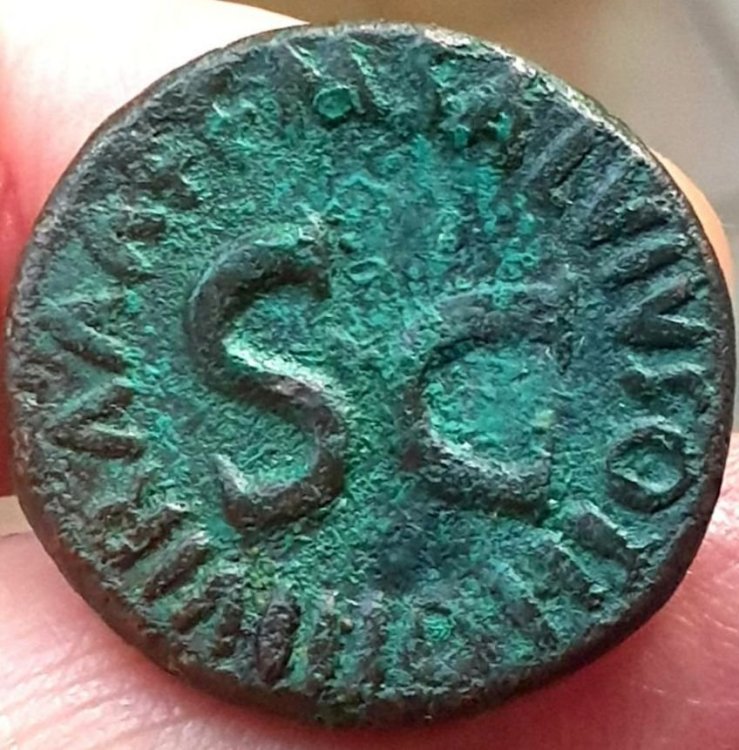 salvius otho rov.jpg