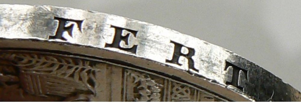 Immagine 2023-11-16 174855.JPG