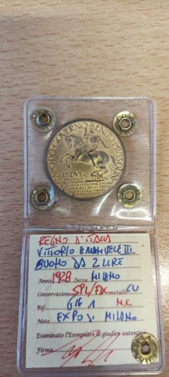 Immagine WhatsApp 2023-11-04 ore 13.08.50_c3d8f7b8.jpg