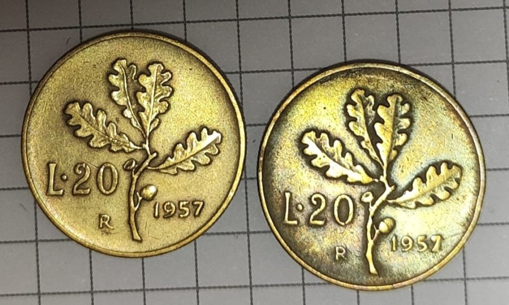 Immagine WhatsApp 2023-11-06 ore 19.45.34_5ae0bb47.jpg