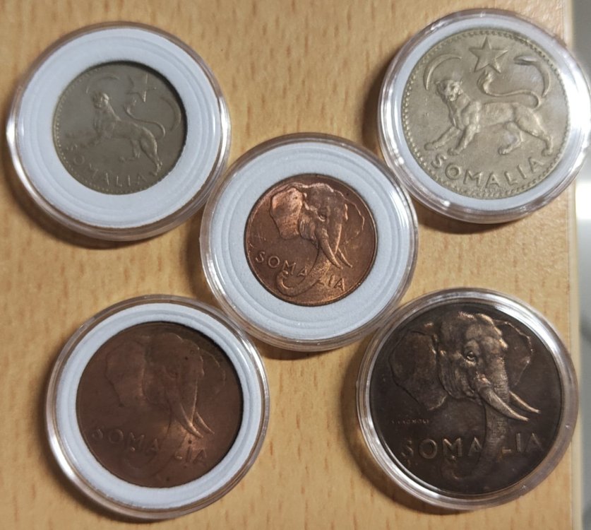 Immagine WhatsApp 2023-11-06 ore 20.57.15_6b46a009.jpg