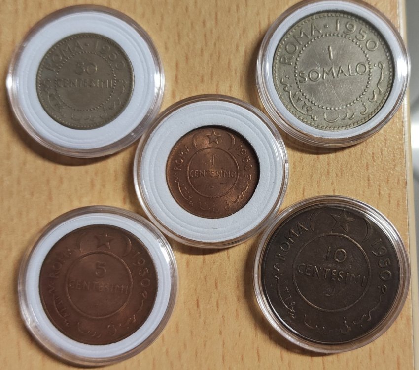 Immagine WhatsApp 2023-11-06 ore 20.57.26_6a2965d3.jpg