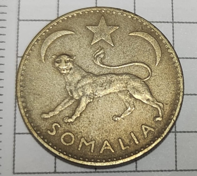 Immagine WhatsApp 2023-11-07 ore 08.59.25_0aec0594.jpg