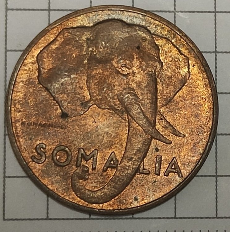 Immagine WhatsApp 2023-11-07 ore 08.59.38_9c3e0634.jpg