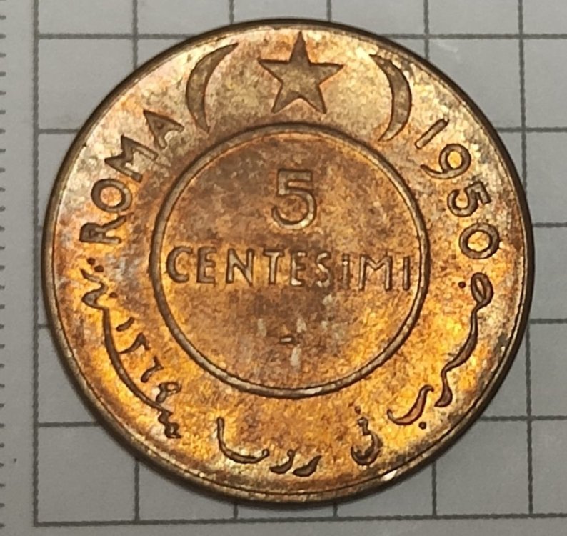 Immagine WhatsApp 2023-11-07 ore 08.59.41_3345168e.jpg