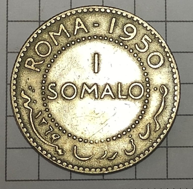 Immagine WhatsApp 2023-11-07 ore 08.59.41_3e31c7cc.jpg