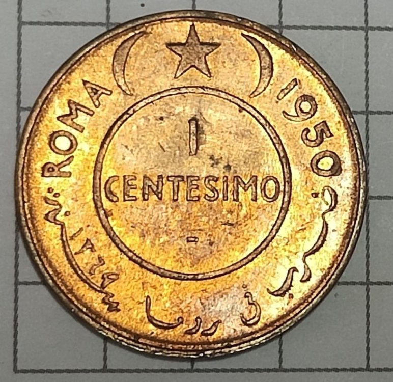 Immagine WhatsApp 2023-11-07 ore 08.59.42_14fdaeb1.jpg