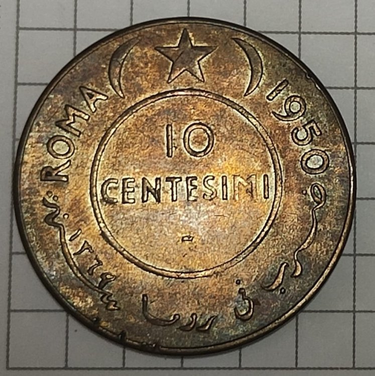 Immagine WhatsApp 2023-11-07 ore 08.59.42_d2bb0b7d.jpg