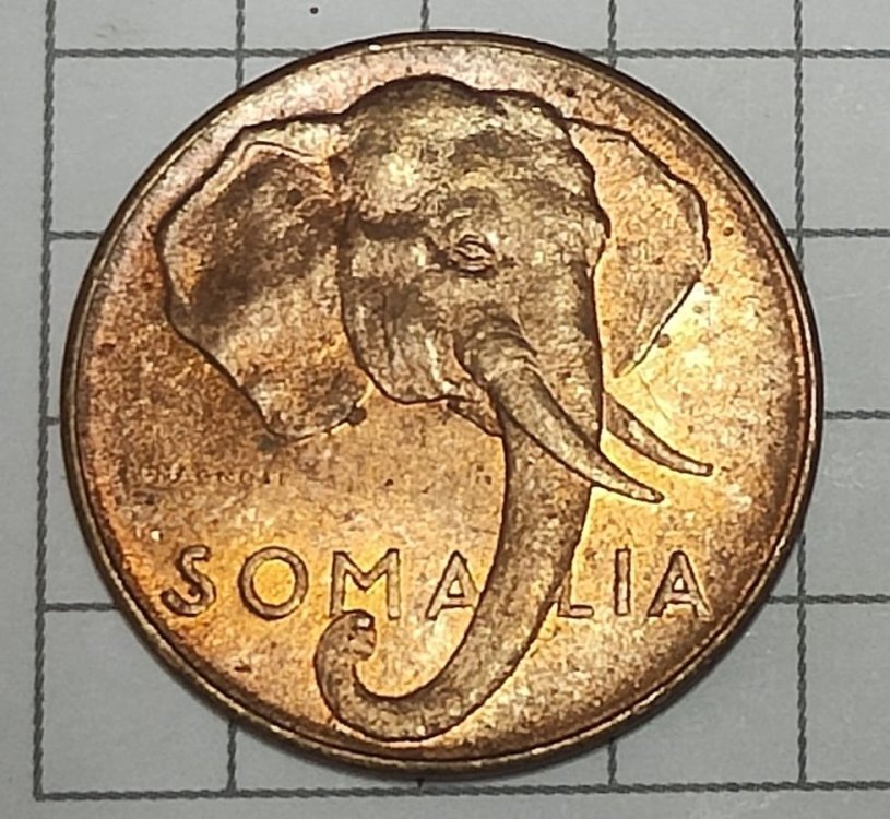 Immagine WhatsApp 2023-11-07 ore 08.59.42_d30f85aa.jpg