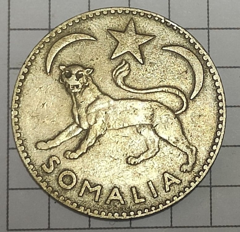 Immagine WhatsApp 2023-11-07 ore 08.59.43_c6f124eb.jpg