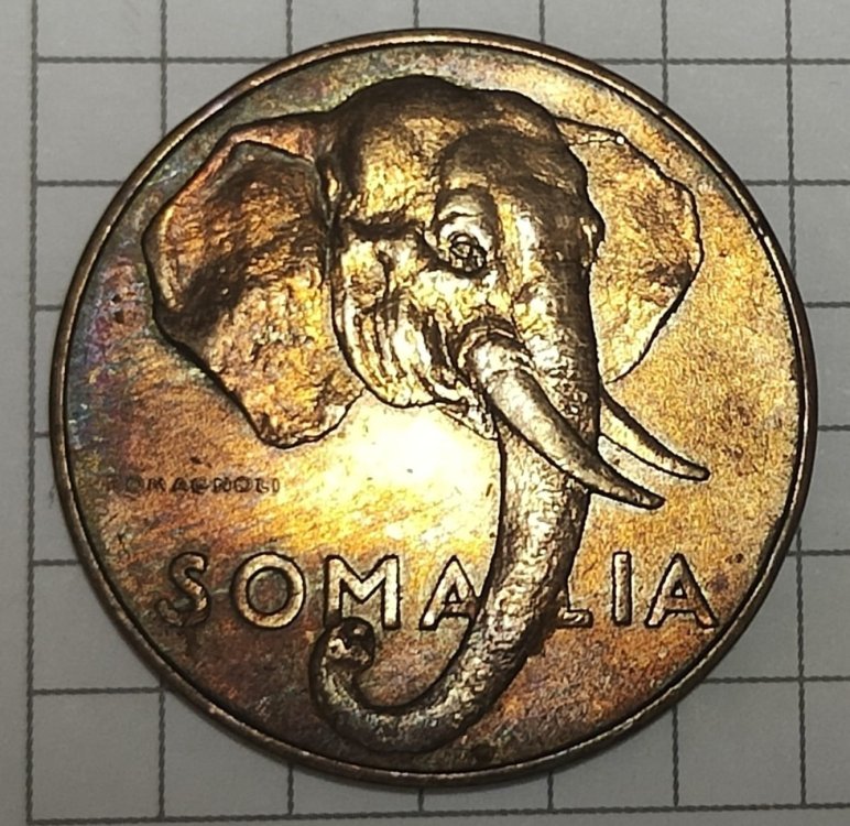 Immagine WhatsApp 2023-11-07 ore 08.59.43_e6338886.jpg