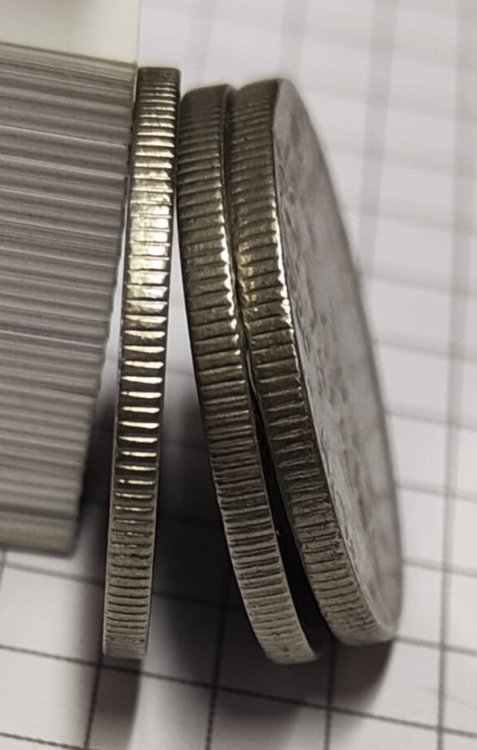 Immagine WhatsApp 2023-11-07 ore 17.44.21_7c07d874.jpg