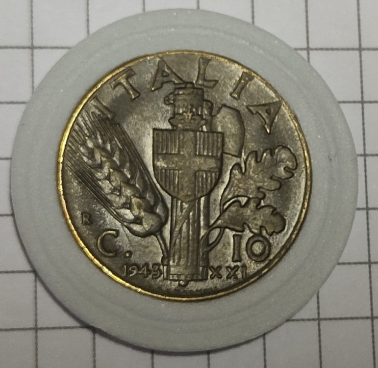 Immagine WhatsApp 2023-11-08 ore 17.50.13_b266dcbd.jpg