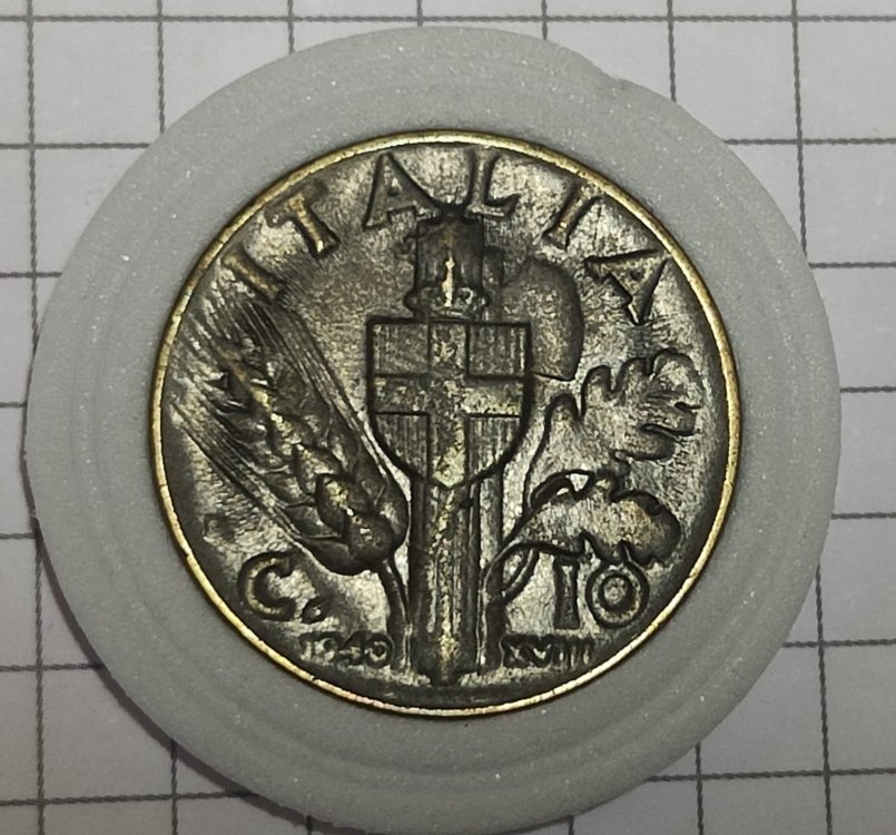 Immagine WhatsApp 2023-11-08 ore 17.55.53_0ad07ddd.jpg