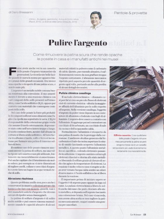 PulirelargentoLeScienze.thumb.jpg.f09d73042b01acabf20be1cd060b3e2e.jpg