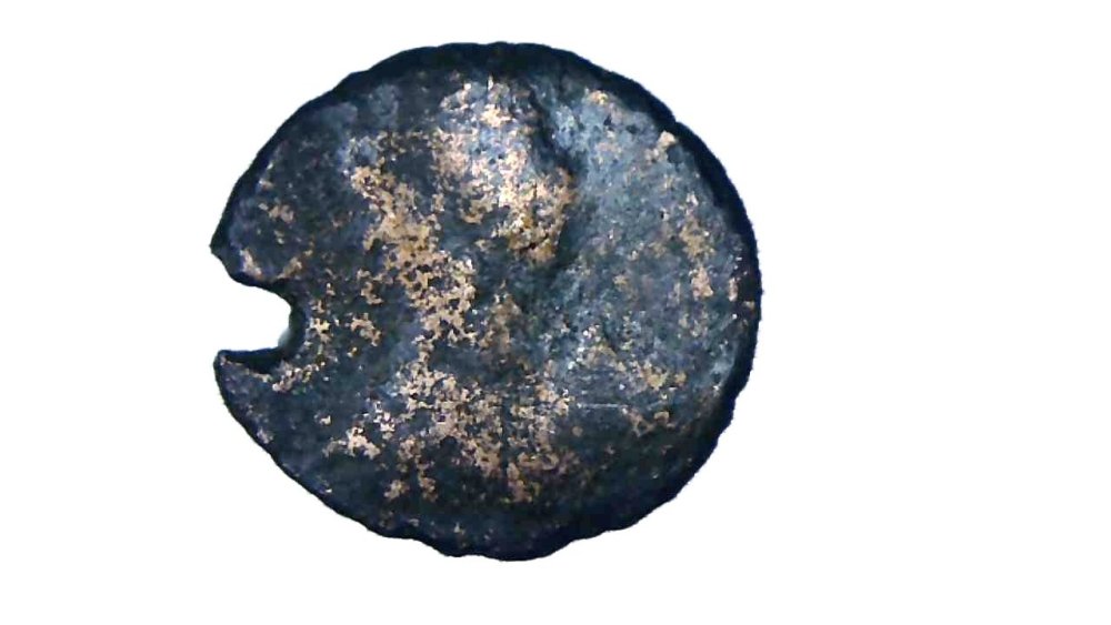 S20231114_002 senza sfondo.jpeg