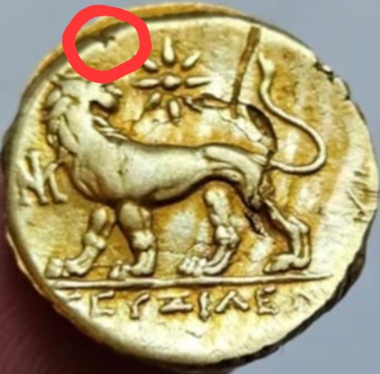 Screenshot_20231119_213539_Samsung Internet.jpg