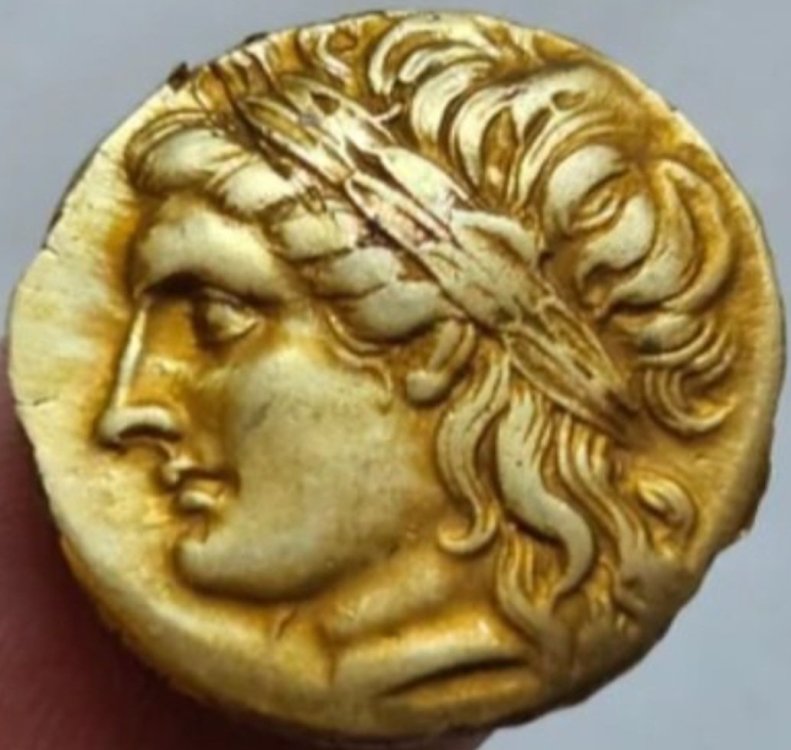 Screenshot_20231120_125653_Samsung Internet.jpg