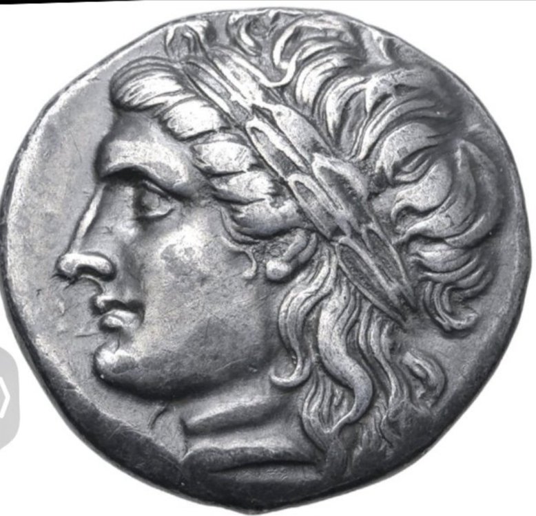 Screenshot_20231120_125723_Samsung Internet.jpg