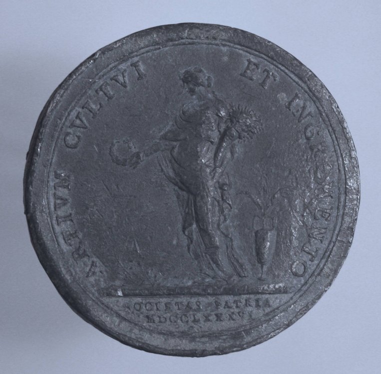MEDAGLIA 1786.JPG