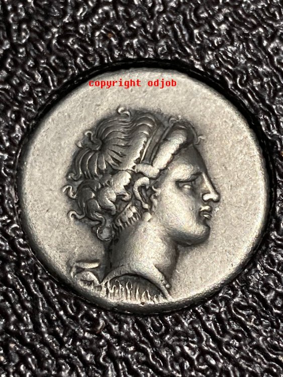 Napoli Didracma D.jpg